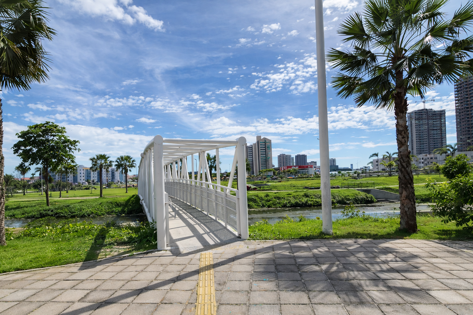 Regis Parente Guararapes